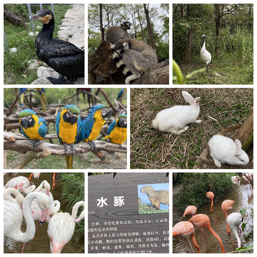 厚積薄發(fā)，蓄力前行：大手牽小手，共圓實(shí)佳夢(mèng)